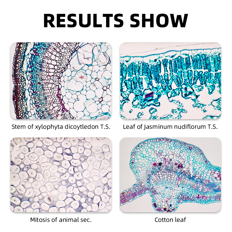 Professional Biological Lab HD - Medical Laboratory Technology のレビューと価格