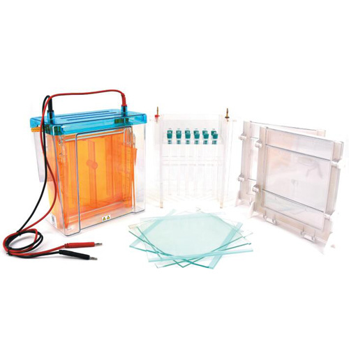 New Style Hot Sale Common Test - Medical Lab For Sale のレビューと価格