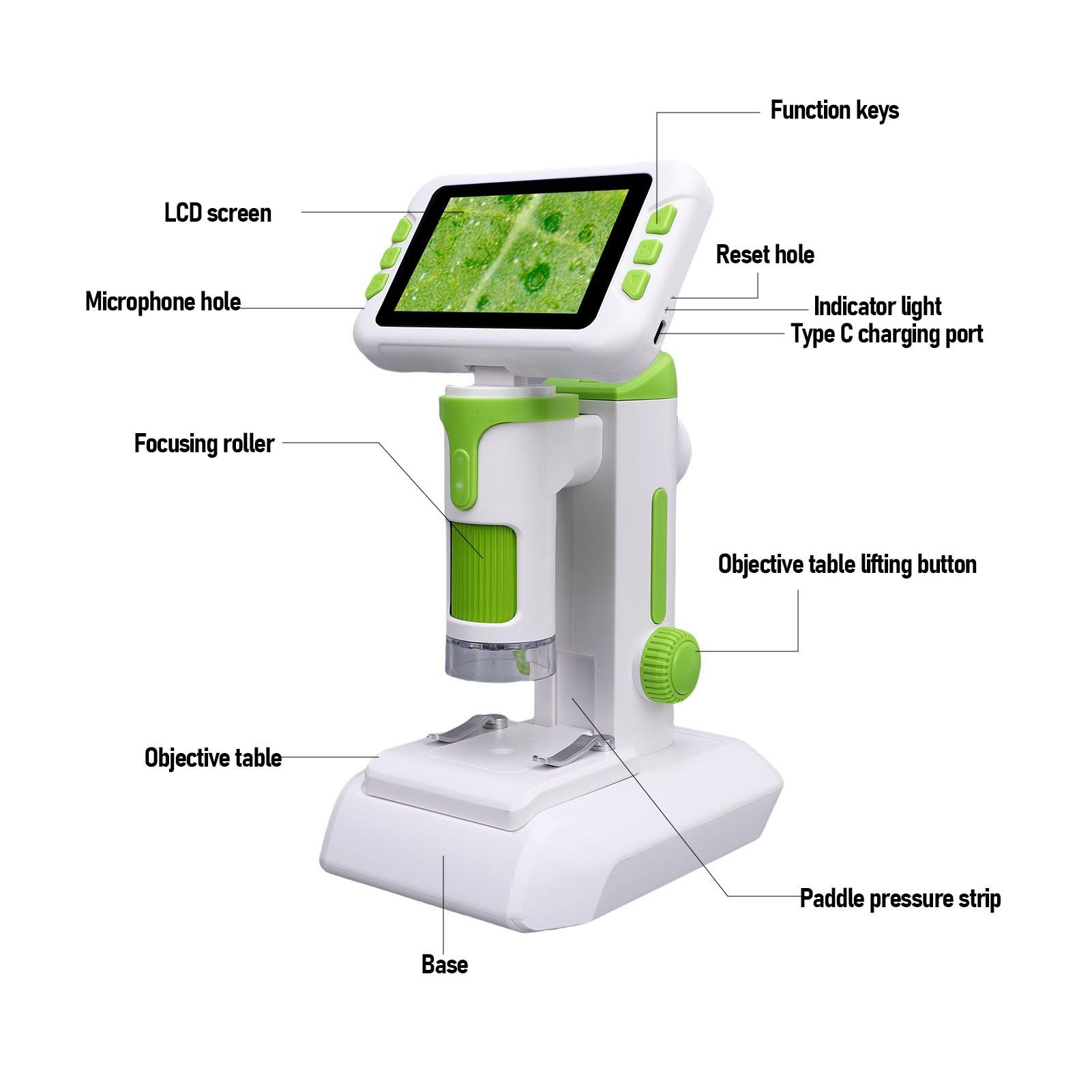 Kids Microscope 1600X 4 Inch L - Medical Lab Microscope のレビューと価格