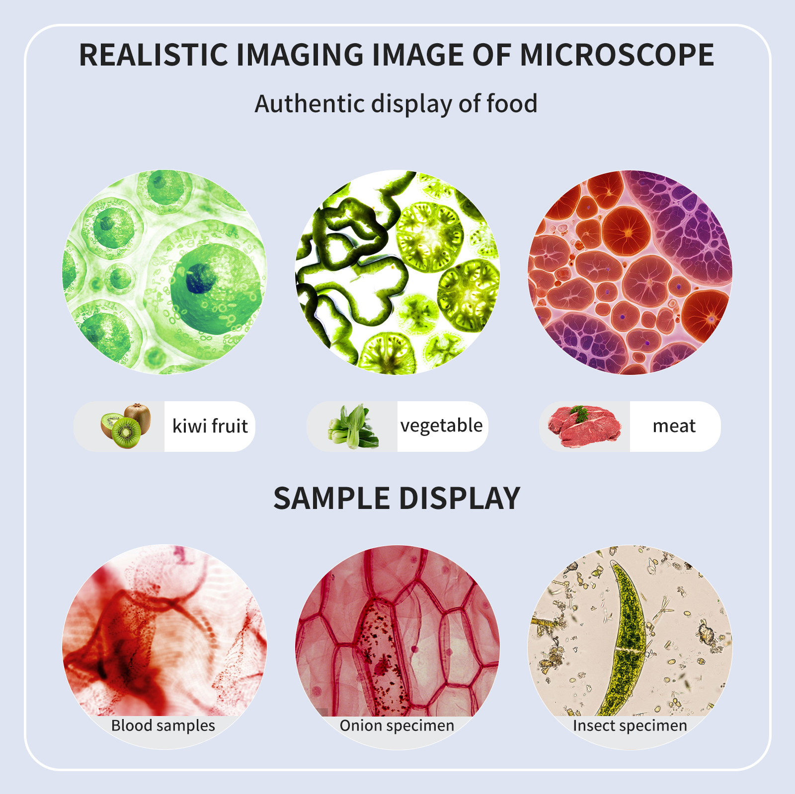 High definition, high magnific - Medical Lab Microscope のレビューと価格