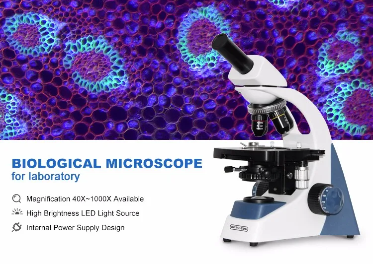 OPTO-EDU A12.1303-B 40x~1000x  - Medical Lab Microscope のレビューと価格