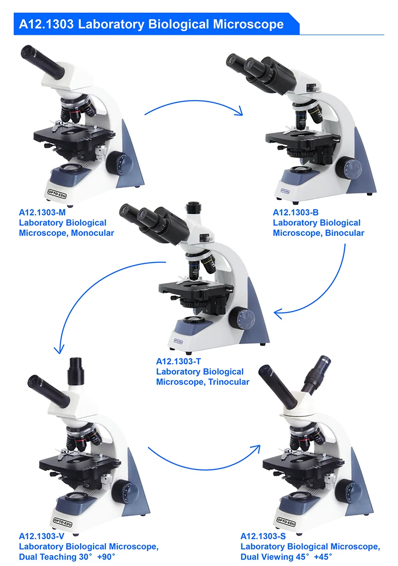 OPTO-EDU A12.1303-B 40x~1000x  - Medical Lab Microscope のレビューと価格
