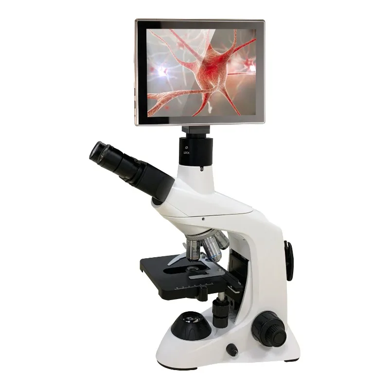 2026 New Stainless Steel Medic - Medical Lab Microscope のレビューと価格