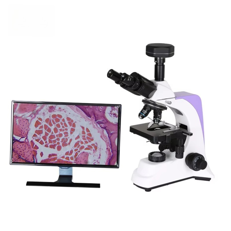 2026 Medical Lab Digital Biolo - Medical Lab Scientist のレビューと価格