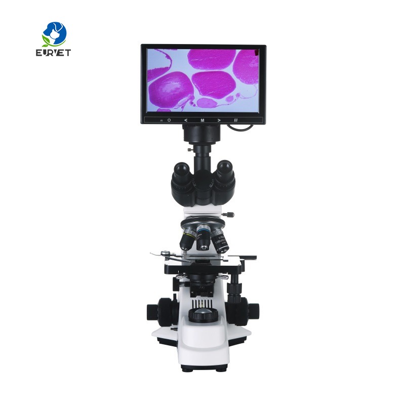 2026 Medical Lab Digital Biolo - Medical Lab Scientist のレビューと価格