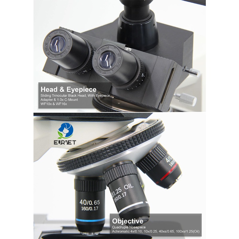 2026 Medical Lab Digital Biolo - Medical Lab Scientist のレビューと価格