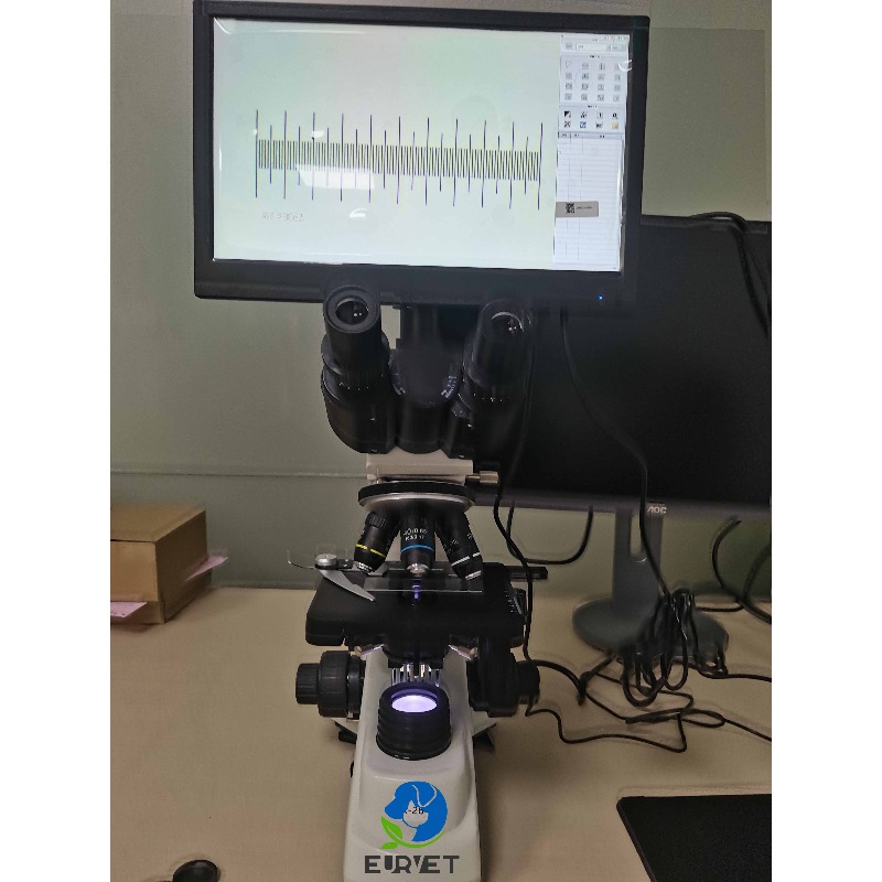2026 Medical Lab Digital Biolo - Medical Lab Scientist のレビューと価格